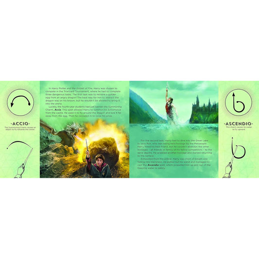 Harry Potter The Wand Chooses the Wizard Illustrated Book