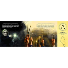 Harry Potter The Wand Chooses the Wizard Illustrated Book