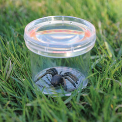 Learning Resources Educational Insights Bug Viewer Geo Safari Jr Science Toy