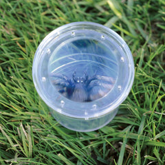 Learning Resources Educational Insights Bug Viewer Geo Safari Jr Science Toy