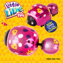 Little Live Pets 5 Ladybug Pack - Maqio