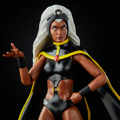 Marvel X-Men Series 15cm Storm and Marvels Thunderbird Action Figures