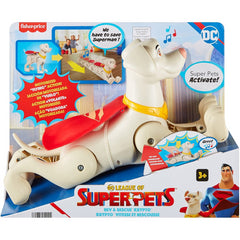 DC Comics League of Super-Pets Preschool Figure & Accessories