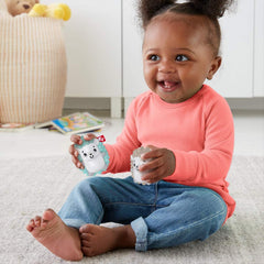 Fisher-Price Hedgehog Shaker Twins Rattle - Maqio