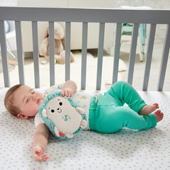 Fisher-Price Calming Vibes Hedgehog Soother Babies from Birth