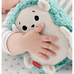 Fisher-Price Calming Vibes Hedgehog Soother Babies from Birth