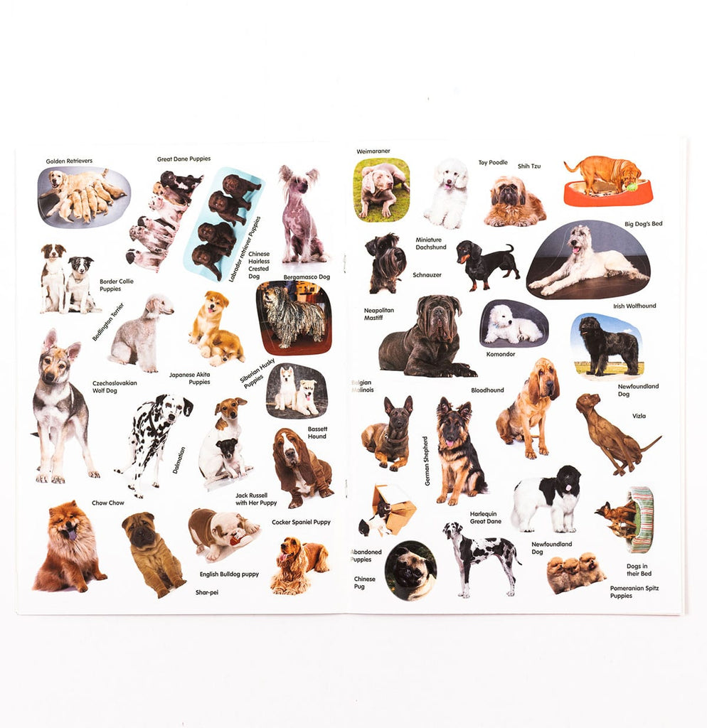 Animal Detective Dog  Sticker Book - Maqio