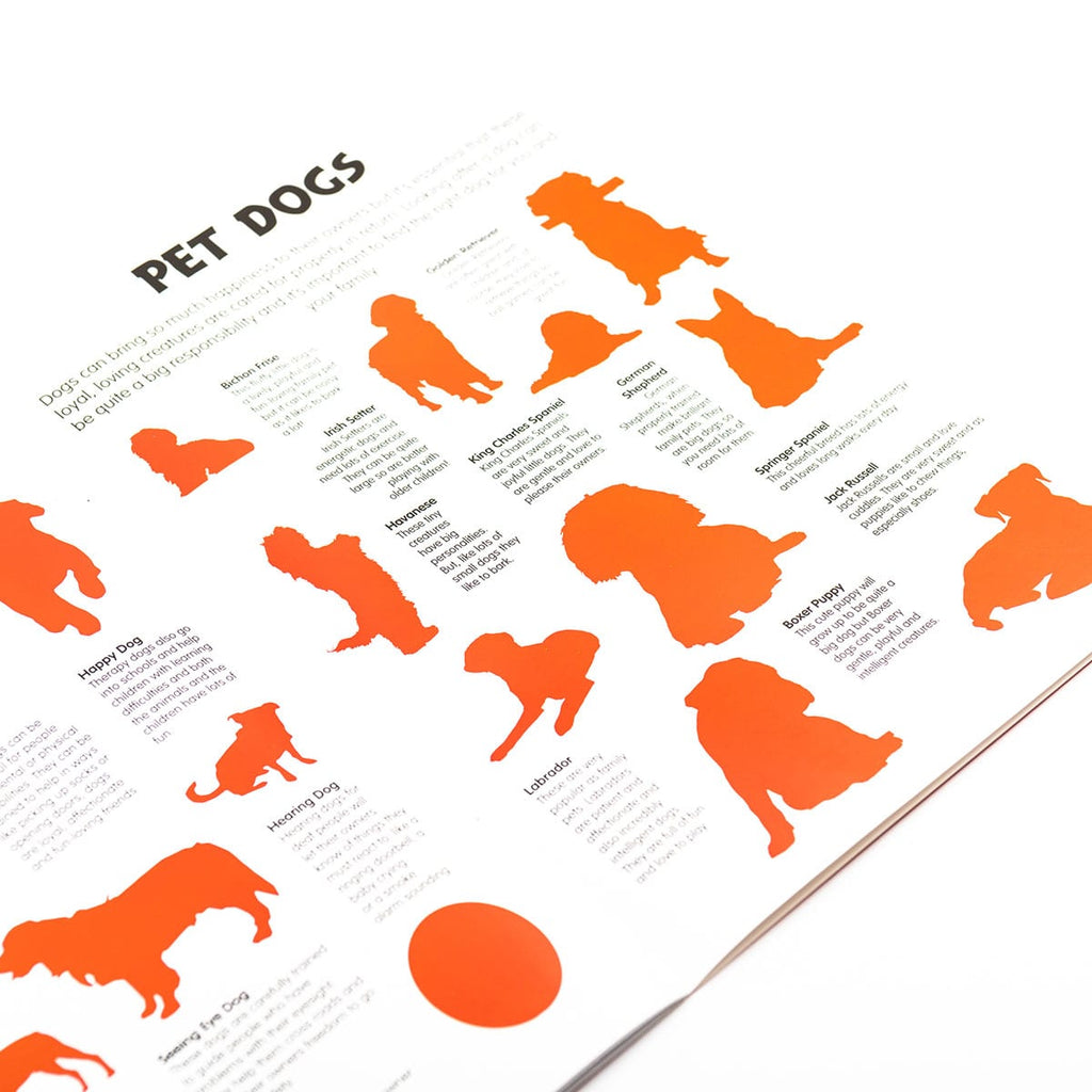 Animal Detective Dog  Sticker Book - Maqio