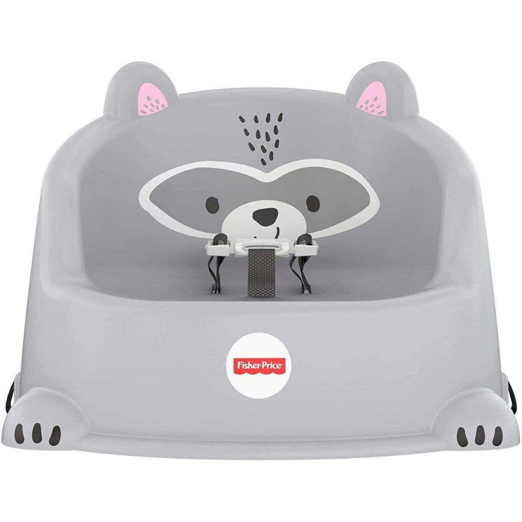 Fisher Price Hungry Raccoon Booster Seat GKF91 - Maqio
