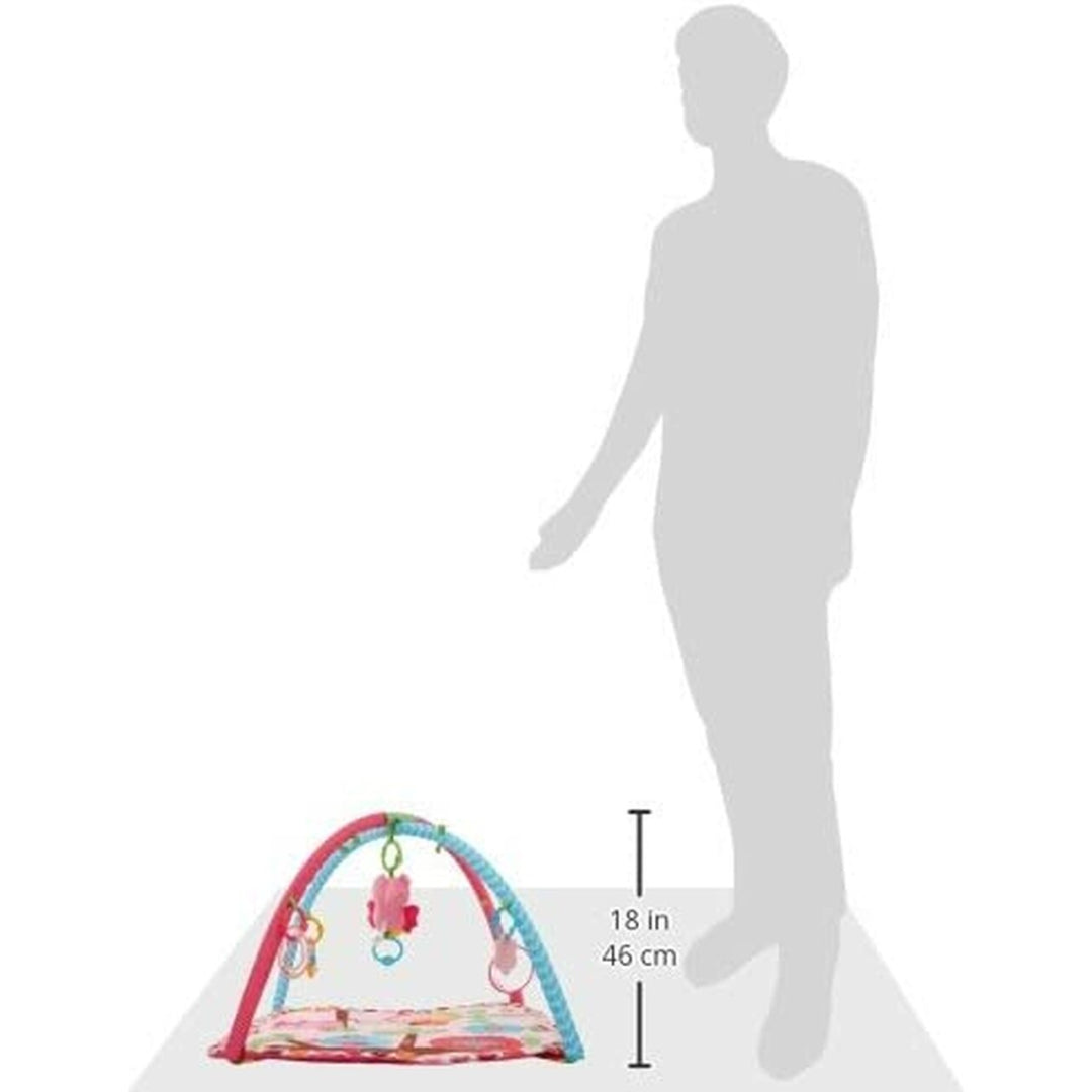 Charming chirps activity gym outlet