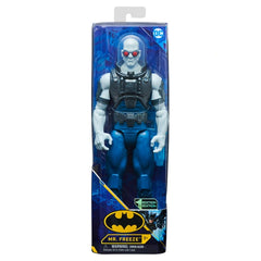 DC Comics Mr Freeze 12-inch Posable Action Figure