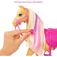 Barbie Groom n Care Horses Playset with Barbie Doll