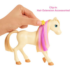 Barbie Groom n Care Horses Playset with Barbie Doll