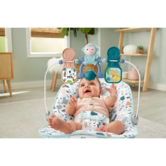 Fisher-Price Babys Bouncer Pebble Portable Bouncing Chair