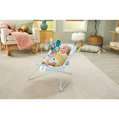 Fisher-Price Babys Bouncer Pebble Portable Bouncing Chair