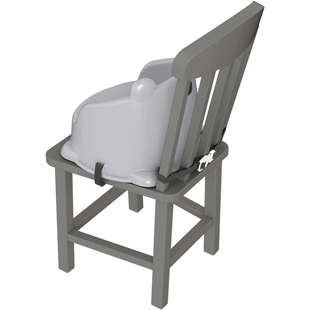 Fisher Price Hungry Raccoon Booster Seat GKF91 - Maqio