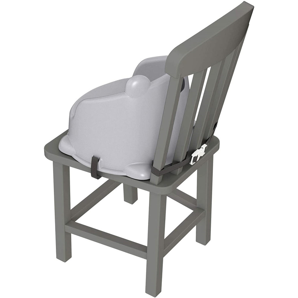 Fisher Price Hungry Raccoon Booster Seat GKF91 - Maqio