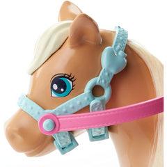 Barbie Family Pony Horse and Chelsea Doll Adventure Gift Set