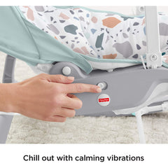Fisher-Price Deluxe Infant to Toddler Rocker & Vibrations Recliner Kick Stand