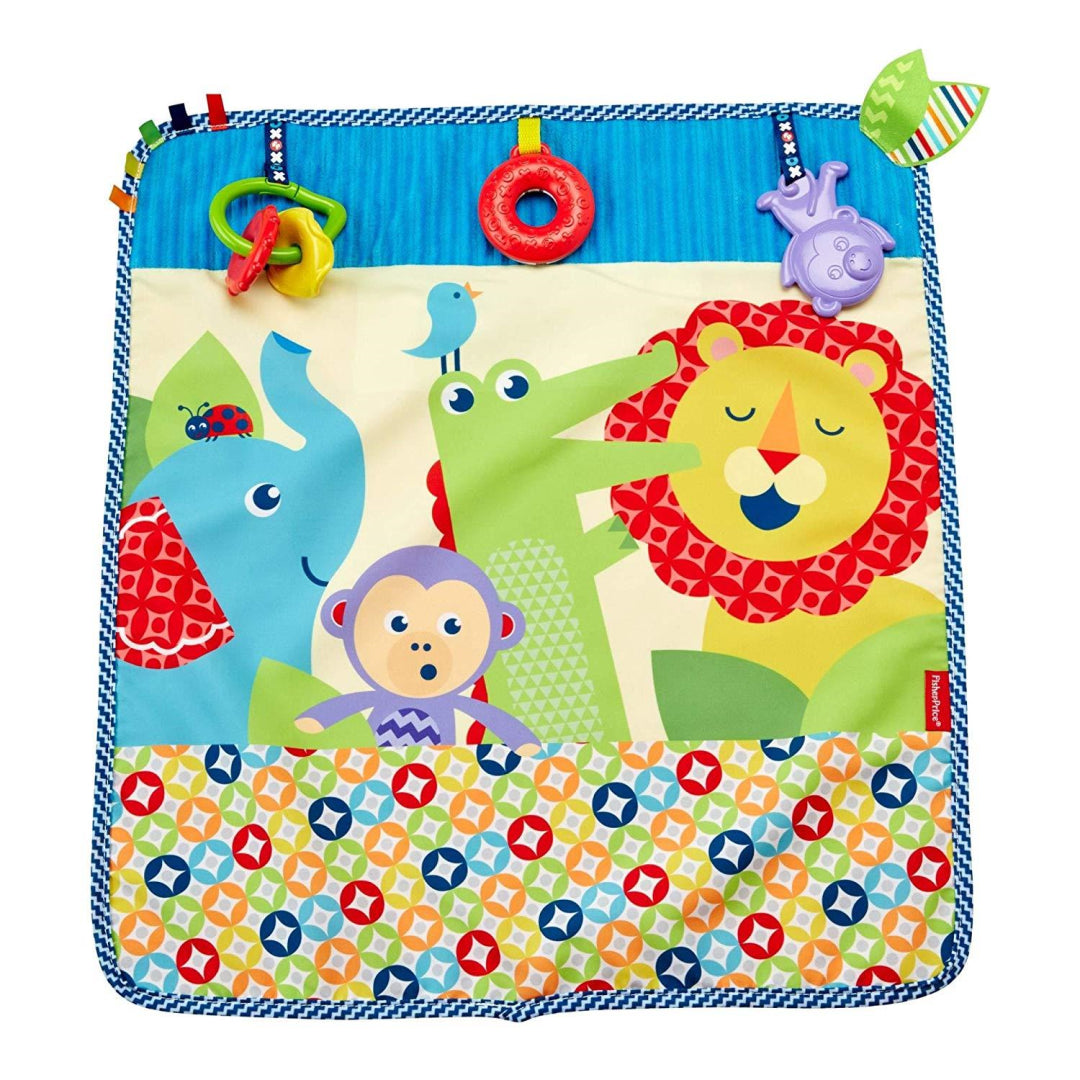 Fisher-Price On-the-Go Activity Throw - Maqio