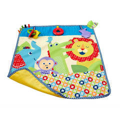 Fisher-Price On-the-Go Activity Throw - Maqio