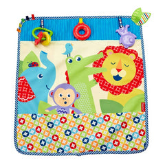 Fisher-Price On-the-Go Activity Throw - Maqio