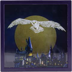 Harry Potter Hedwig Frame Money Box