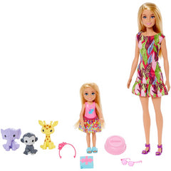Barbie Chelsea The Lost Birthday Playset - 2 Dolls 3 Pets & Accessories