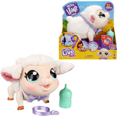 Little Live Pets My Pet Lamb Snowie Soft & Wooly