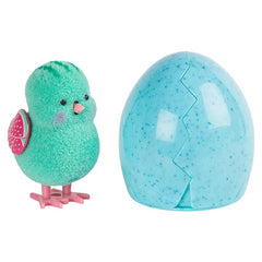 Little Live Pets 28427 Surprise Chick Random Soft Toy - Maqio
