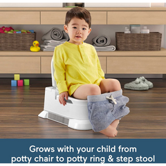 Fisher-Price Musical Home Decor 4 in 1 Potty for Toddlers
