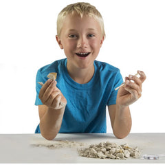 National Geographic Shark Teeth Dig Kit