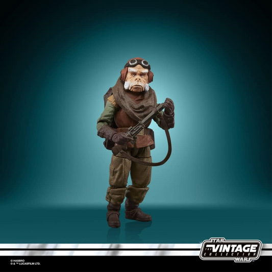 Star Wars The Vintage Collection VC227 KUIIL Figure (THE MANDALORIAN)