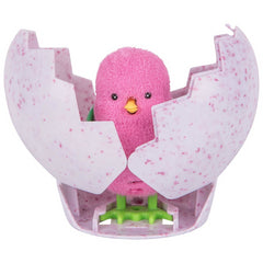 Little Live Pets Surprise Chick Figures - Single Assorted (28324) - Maqio