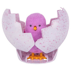 Little Live Pets Surprise Chick Figures - Single Assorted (28324) - Maqio