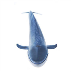 Schleich 14696 Blue Whale Wild Life - Maqio