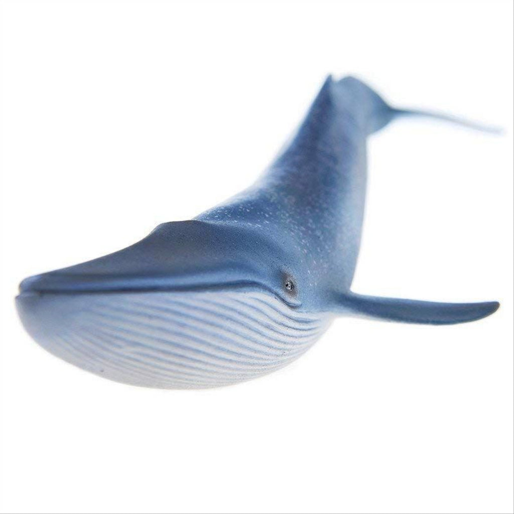 Schleich 14696 Blue Whale Wild Life - Maqio