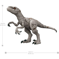 Jurassic World Large Dinsoaur Super Colossal 3ft Long Atrociraptor Action Figure