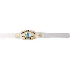 WWE Intercontinental Championship Winning Belt