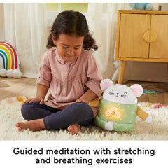 Fisher-Price Meditation Mouse Plush Toy With Soothing Sounds