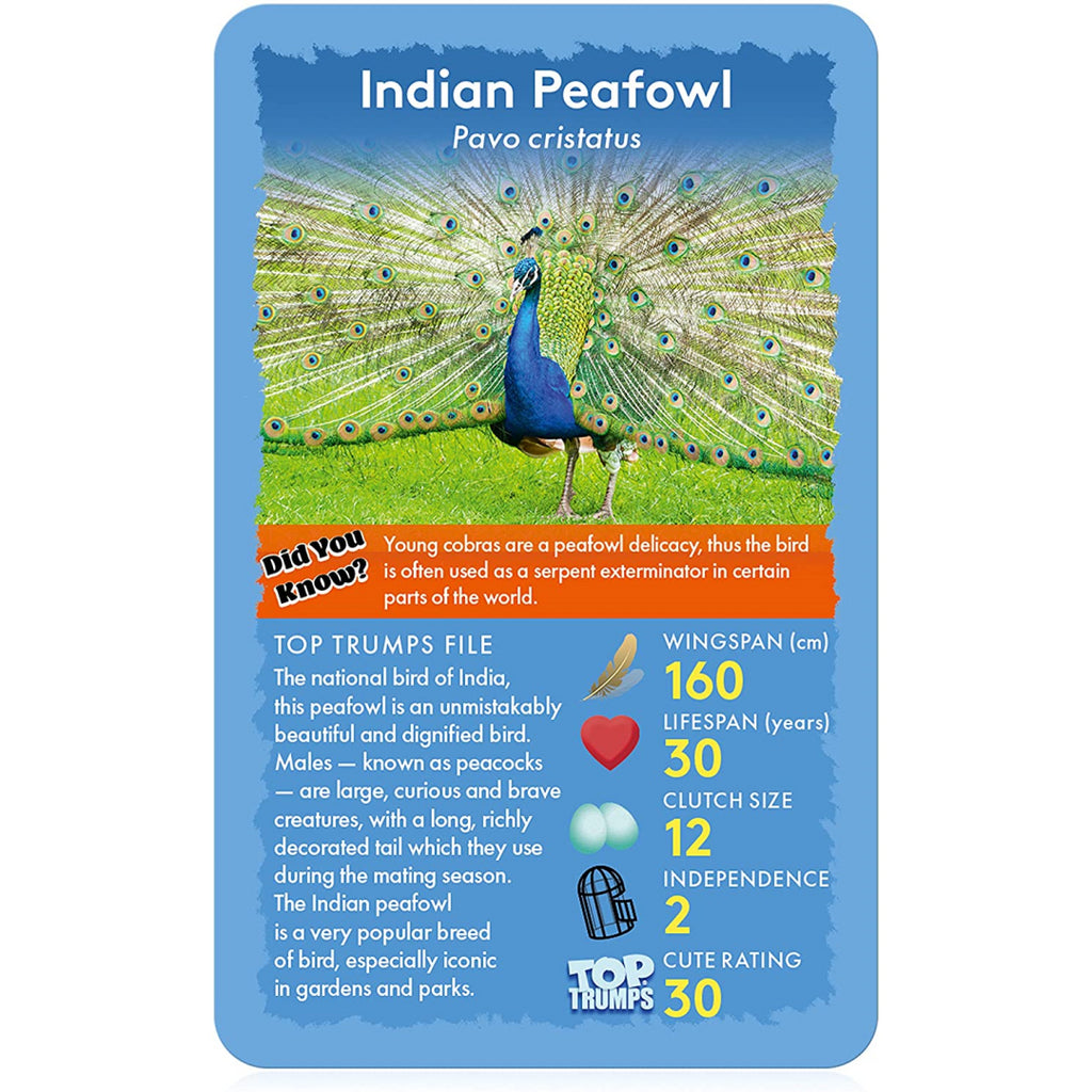 Top Trumps Cards - Birds of the World 037433 - Maqio